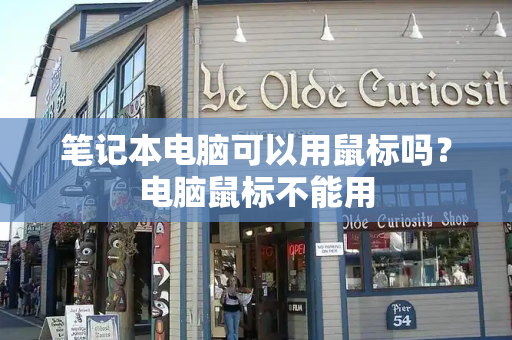 笔记本电脑可以用鼠标吗？电脑鼠标不能用