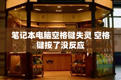 笔记本电脑空格键失灵 空格键按了没反应