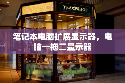 笔记本电脑扩展显示器，电脑一拖二显示器-第1张图片-星选测评