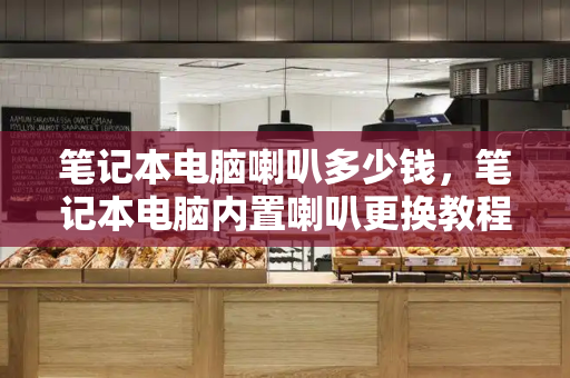 笔记本电脑喇叭多少钱，笔记本电脑内置喇叭更换教程-第1张图片-星选测评