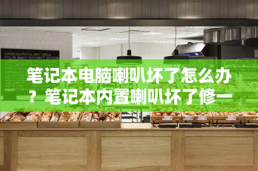 笔记本电脑喇叭坏了怎么办？笔记本内置喇叭坏了修一下多少钱-第1张图片-星选测评