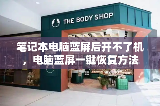 笔记本电脑蓝屏后开不了机，电脑蓝屏一键恢复方法