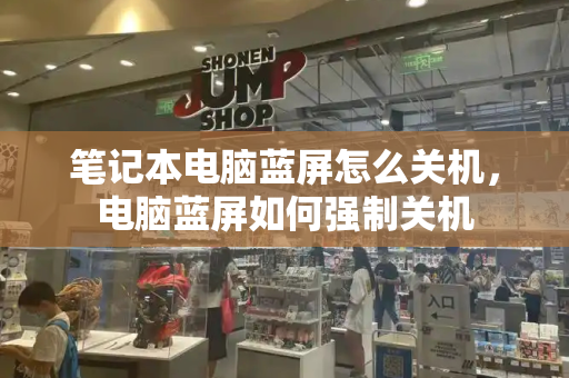 笔记本电脑蓝屏怎么关机，电脑蓝屏如何强制关机