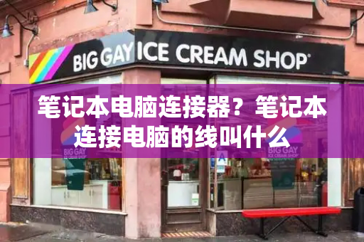 笔记本电脑连接器？笔记本连接电脑的线叫什么-第1张图片-星选测评