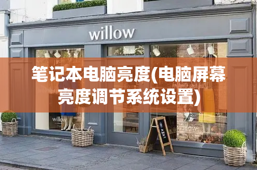 笔记本电脑亮度(电脑屏幕亮度调节系统设置)
