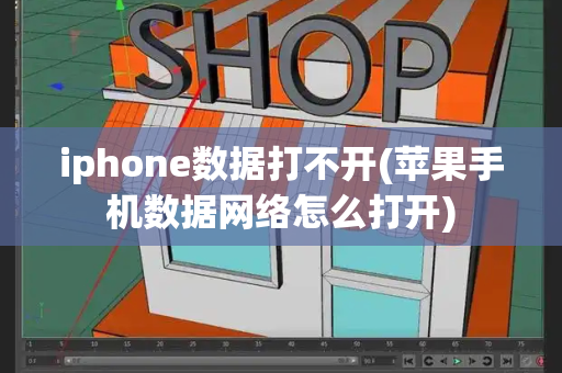 iphone数据打不开(苹果手机数据网络怎么打开)