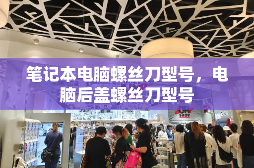 笔记本电脑螺丝刀型号，电脑后盖螺丝刀型号