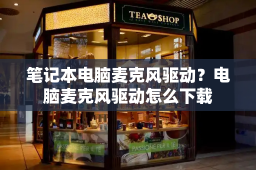 笔记本电脑麦克风驱动？电脑麦克风驱动怎么下载-第1张图片-星选测评