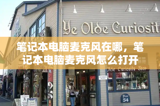 笔记本电脑麦克风在哪，笔记本电脑麦克风怎么打开-第1张图片-星选测评