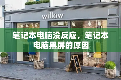 笔记本电脑没反应，笔记本电脑黑屏的原因