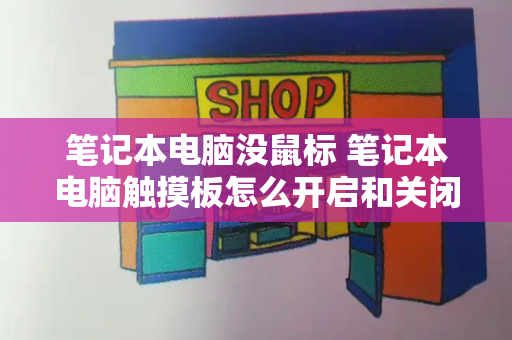 笔记本电脑没鼠标 笔记本电脑触摸板怎么开启和关闭