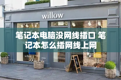 笔记本电脑没网线插口 笔记本怎么插网线上网-第1张图片-星选测评