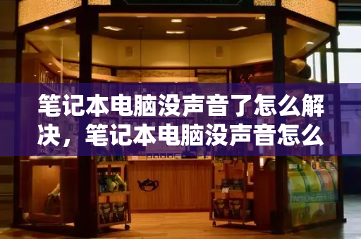 笔记本电脑没声音了怎么解决，笔记本电脑没声音怎么调出来-第1张图片-星选测评