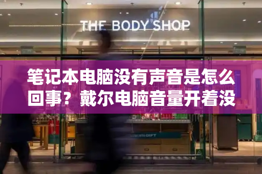 笔记本电脑没有声音是怎么回事？戴尔电脑音量开着没声音-第1张图片-星选测评