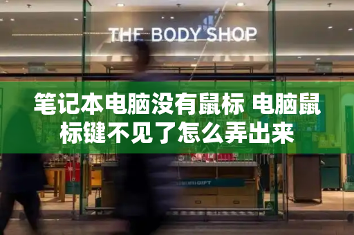 笔记本电脑没有鼠标 电脑鼠标键不见了怎么弄出来-第1张图片-星选测评