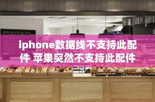 iphone数据线不支持此配件 苹果突然不支持此配件