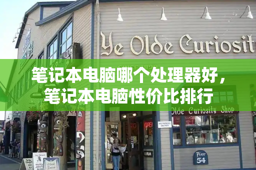 笔记本电脑哪个处理器好，笔记本电脑性价比排行-第1张图片-星选测评