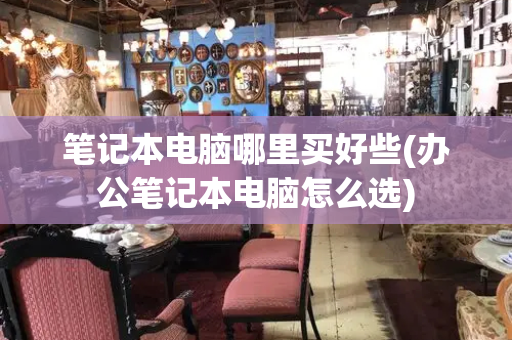 笔记本电脑哪里买好些(办公笔记本电脑怎么选)-第1张图片-星选测评