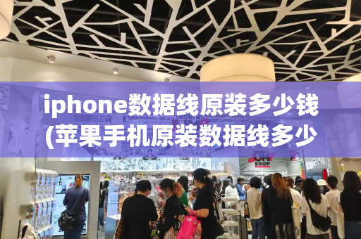 iphone数据线原装多少钱(苹果手机原装数据线多少钱)