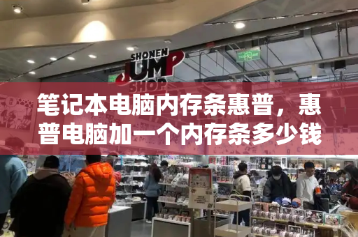 笔记本电脑内存条惠普，惠普电脑加一个内存条多少钱-第1张图片-星选测评
