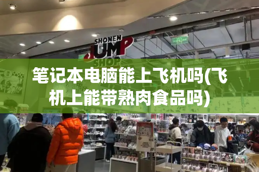 笔记本电脑能上飞机吗(飞机上能带熟肉食品吗)
