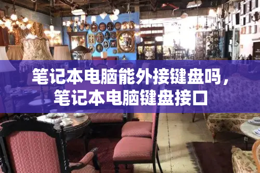 笔记本电脑能外接键盘吗，笔记本电脑键盘接口-第1张图片-星选测评