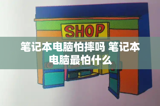 笔记本电脑怕摔吗 笔记本电脑最怕什么