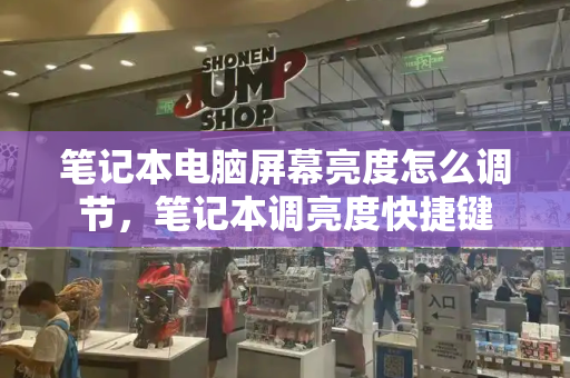 笔记本电脑屏幕亮度怎么调节，笔记本调亮度快捷键