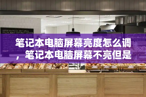 笔记本电脑屏幕亮度怎么调，笔记本电脑屏幕不亮但是键盘还亮-第1张图片-星选测评