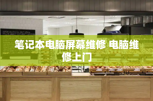 笔记本电脑屏幕维修 电脑维修上门