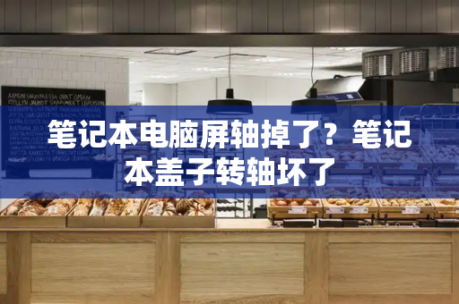 笔记本电脑屏轴掉了？笔记本盖子转轴坏了-第1张图片-星选测评