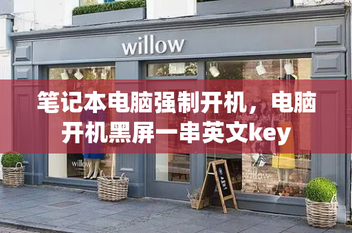 笔记本电脑强制开机，电脑开机黑屏一串英文key