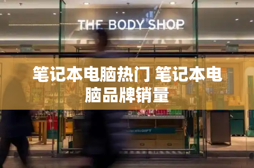 笔记本电脑热门 笔记本电脑品牌销量