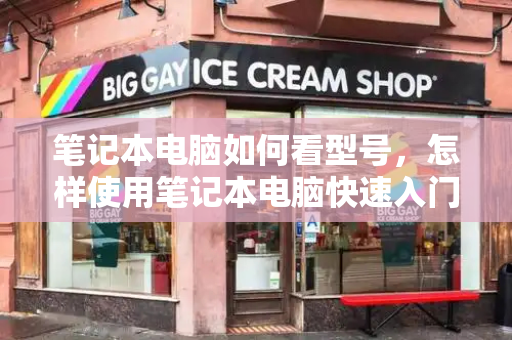 笔记本电脑如何看型号，怎样使用笔记本电脑快速入门-第1张图片-星选测评