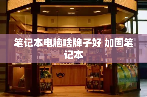 笔记本电脑啥牌子好 加固笔记本