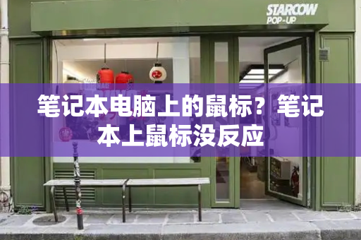 笔记本电脑上的鼠标？笔记本上鼠标没反应