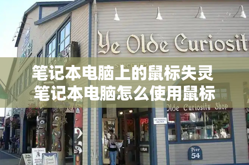 笔记本电脑上的鼠标失灵 笔记本电脑怎么使用鼠标