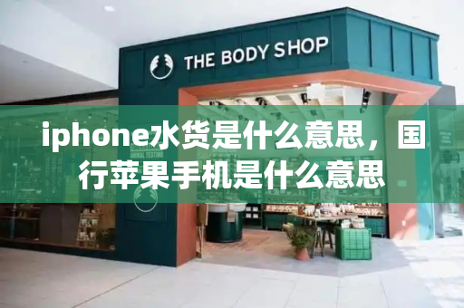 iphone水货是什么意思，国行苹果手机是什么意思-第1张图片-星选测评