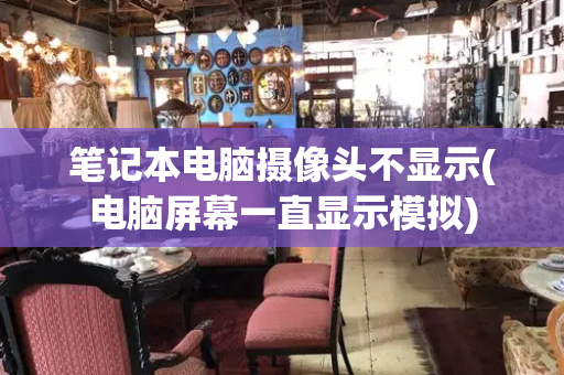 笔记本电脑摄像头不显示(电脑屏幕一直显示模拟)