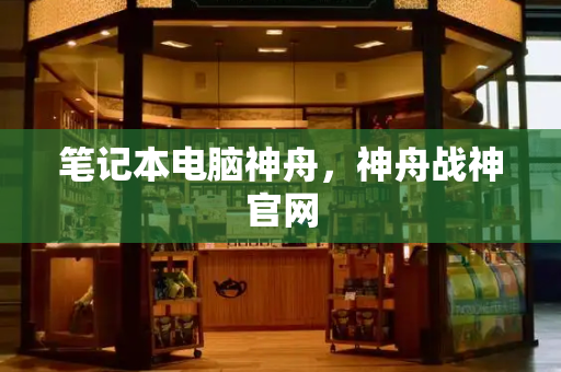 笔记本电脑神舟，神舟战神官网-第1张图片-星选测评