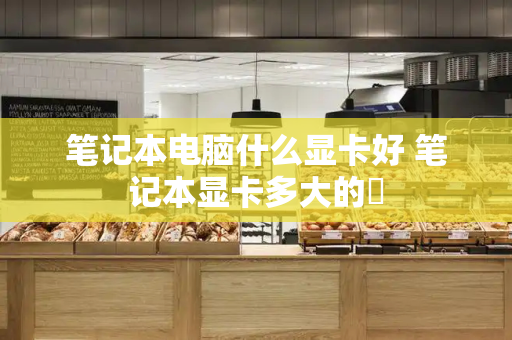 笔记本电脑什么显卡好 笔记本显卡多大的奿
