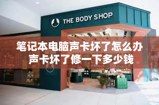 笔记本电脑声卡坏了怎么办 声卡坏了修一下多少钱-第1张图片-星选测评
