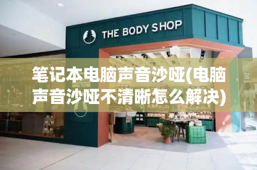 笔记本电脑声音沙哑(电脑声音沙哑不清晰怎么解决)