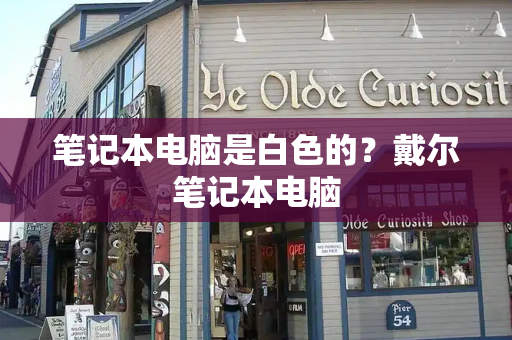 笔记本电脑是白色的？戴尔笔记本电脑-第1张图片-星选测评