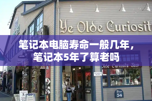 笔记本电脑寿命一般几年，笔记本5年了算老吗-第1张图片-星选测评