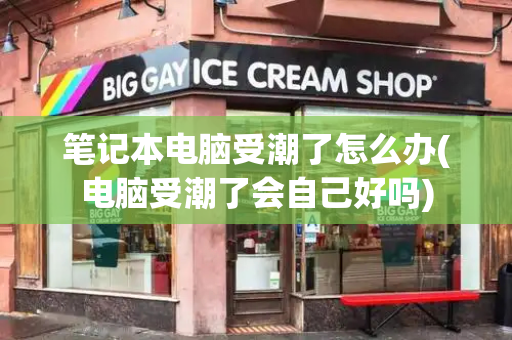 笔记本电脑受潮了怎么办(电脑受潮了会自己好吗)