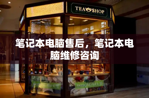 笔记本电脑售后，笔记本电脑维修咨询-第1张图片-星选测评