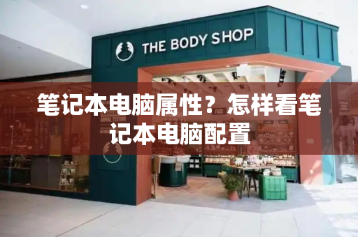 笔记本电脑属性？怎样看笔记本电脑配置-第1张图片-星选测评