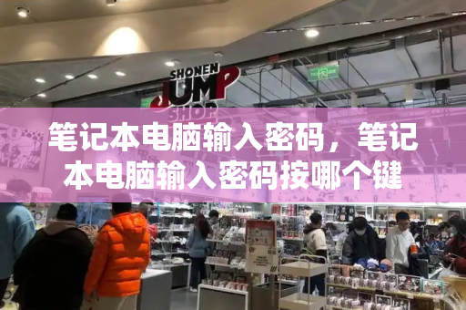 笔记本电脑输入密码，笔记本电脑输入密码按哪个键-第1张图片-星选测评