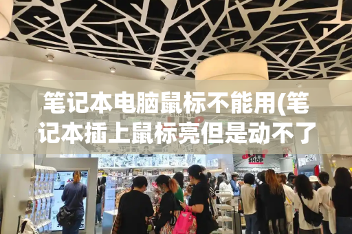 笔记本电脑鼠标不能用(笔记本插上鼠标亮但是动不了)
